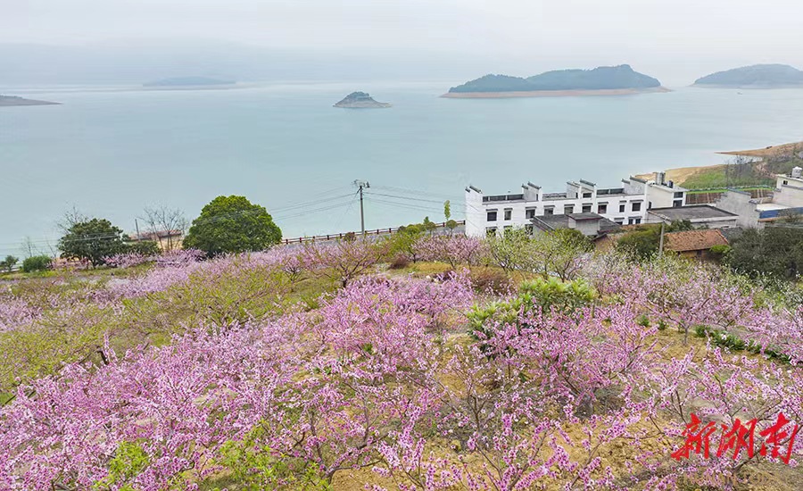 五一走起！去湖南郴州感受不一樣的假期_fororder_17