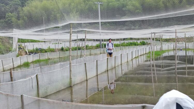 税“惠”乡村新图景项目活动首站在江西启动