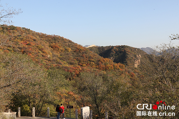 图片默认标题_fororder_CqgNOl21M3CAYmF-AAAAAAAAAAA023.600x400