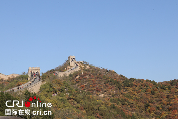 图片默认标题_fororder_CqgNOl21M3CAWsbXAAAAAAAAAAA902.600x400