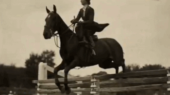 目光坚定 姿态优雅——《艺术里的奥林匹克》带您感受油画《女骑士》中女性骑手的力量与美感