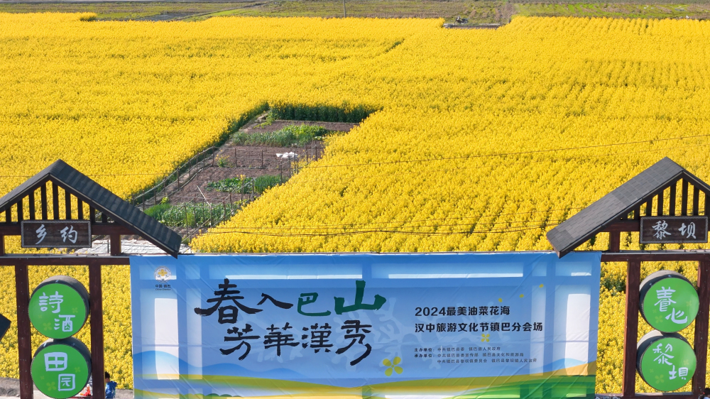 陕西镇巴：春入巴山 观金色花海