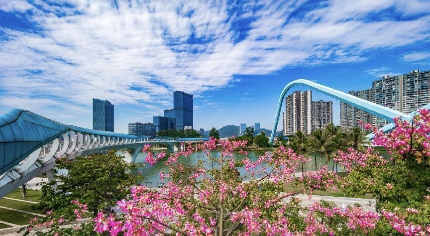 广州南沙：锚定《南沙方案》发展目标 探索城市管理现代化新路径_fororder_图片1