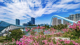 廣州南沙：錨定《南沙方案》發展目標 探索城市管理現代化新路徑