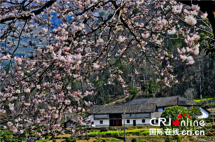 （文末帶摘要）【綠色出行要聞帶列表】宜昌市五峰縣推出10條春夏精品旅遊線路