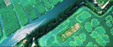 微视频｜雄安：城淀相依 水韵相生