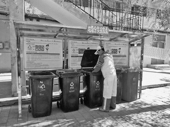 哈尔滨：践行绿色发展理念垃圾分类成新时尚