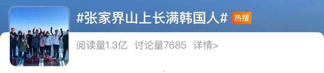 边走边看 | 张家界的山上“长满”了韩国人？真的！