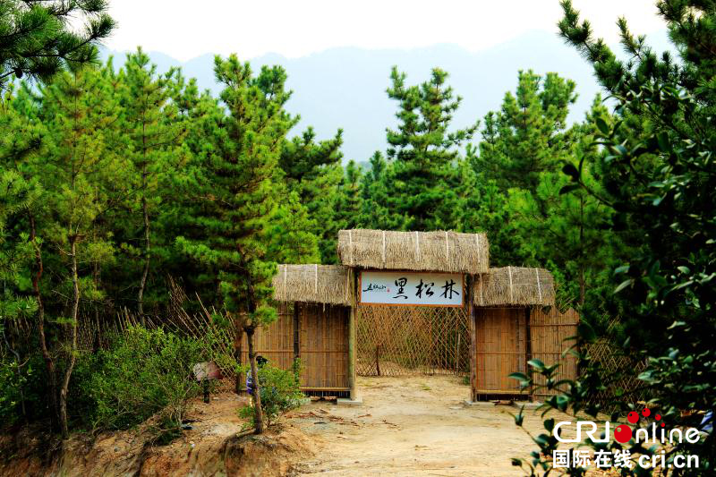 【焦點圖】麻城看杜鵑 五腦山低山賞花一日遊