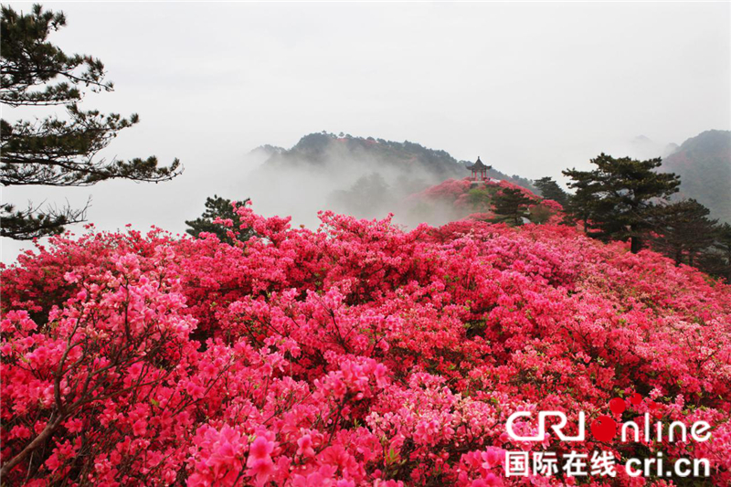 【焦點圖】靈秀湖北 麻城龜峰山