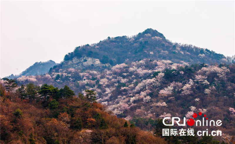 【焦點圖】靈秀湖北 麻城龜峰山