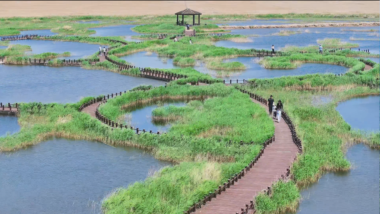 五一假期南大港湿地迎来旅游热潮_fororder_图片 4