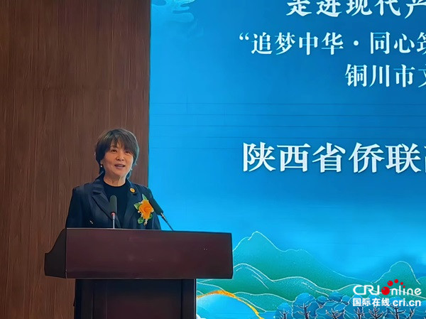 “追梦中华·同心筑梦圆”2024海外华文媒体陕西采访行正式启动_fororder_3
