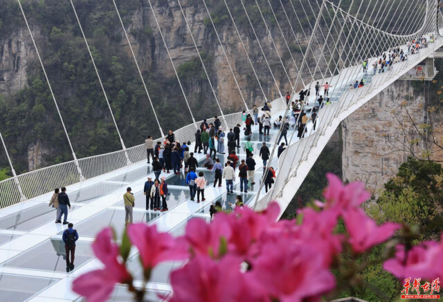 清明假期，湖南累计接待游客1491.37万人次