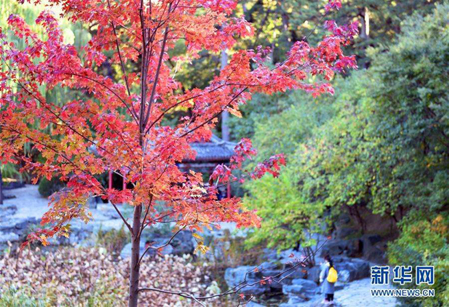 图片默认标题_fororder_1210327755_15720523008971n