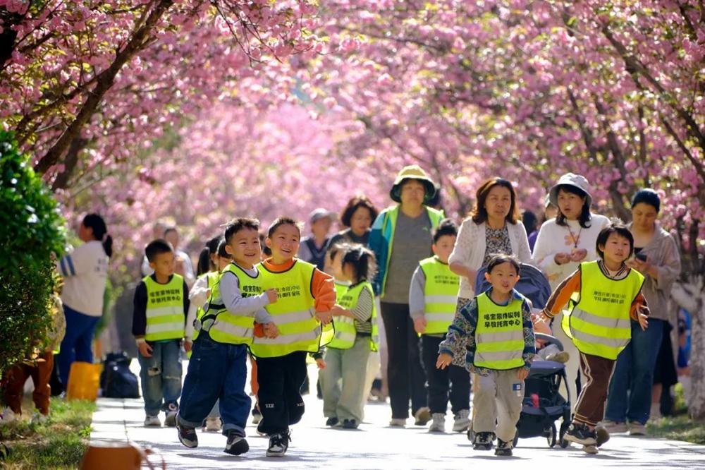 貴州六盤水：市民遊客組團走“花路” 感受浪漫春日_fororder_640 (4)