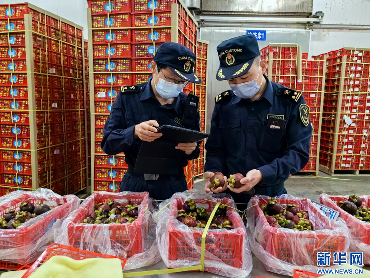 西部陸海新通道助力更多東盟水果進入中國市場