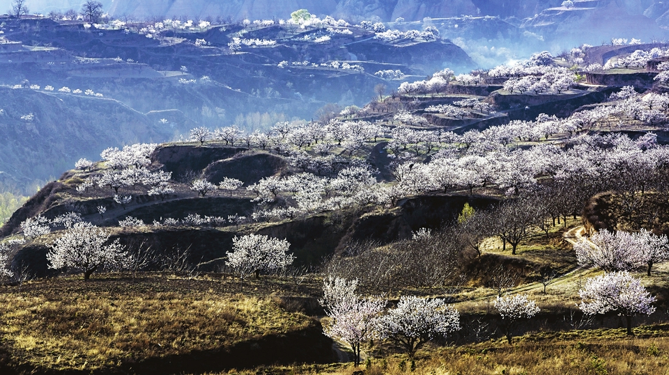 太原：春有约 花不误_fororder_22