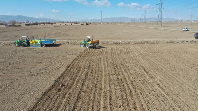 【原創】武威市涼州區五和鎮:春好正是耕種時_fororder_圖片3