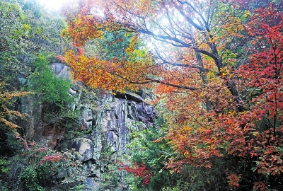 【要聞-文字列表+摘要】【河南在線-文字列表】【移動端-文字列表】19年來 河南省森林面積凈增782萬畝