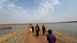 來天津寧河赴一場春日之約 體驗七里海科考研學暨春日飛鳥季之行