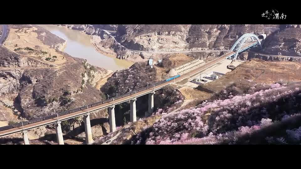 charming陕西陕西渭南春染黄河畔