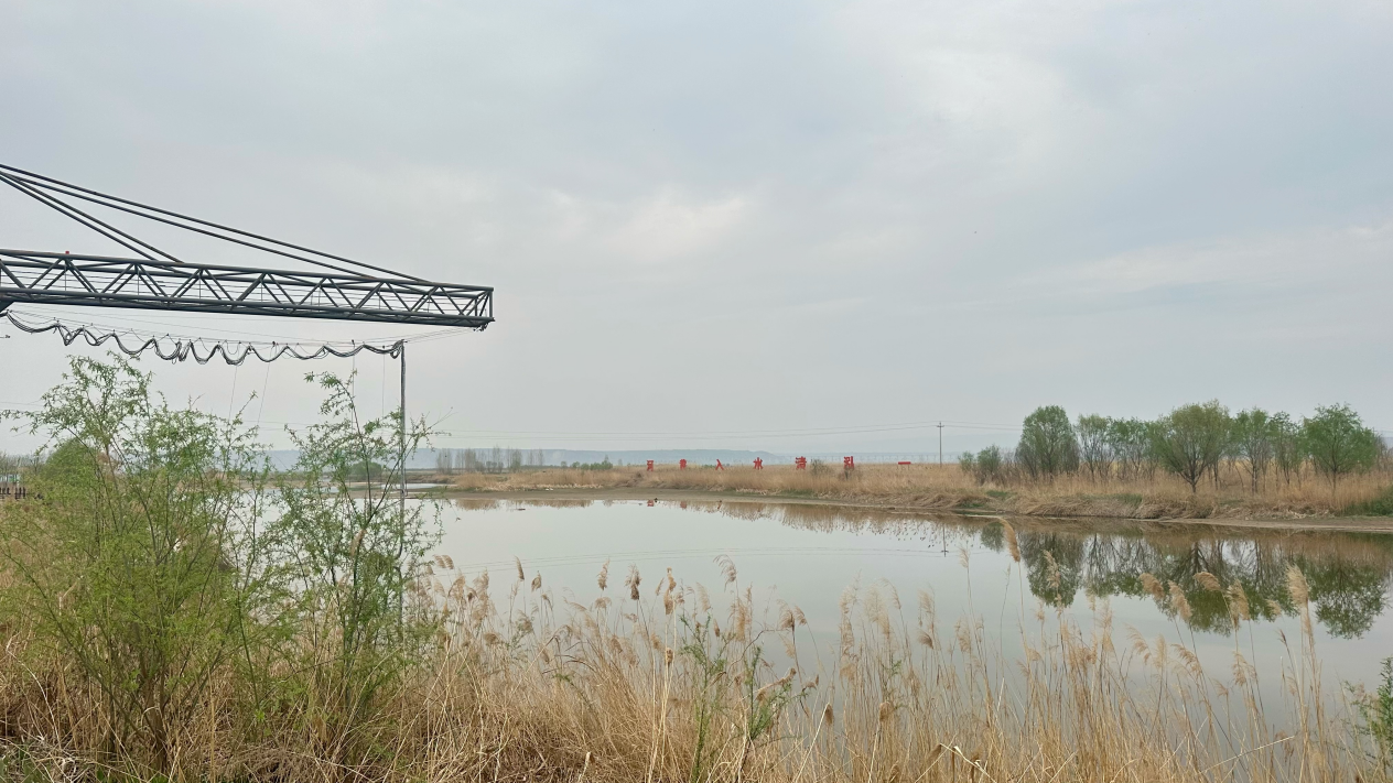 法护黄河润三晋 一泓清水“晋”东流_fororder_图片2