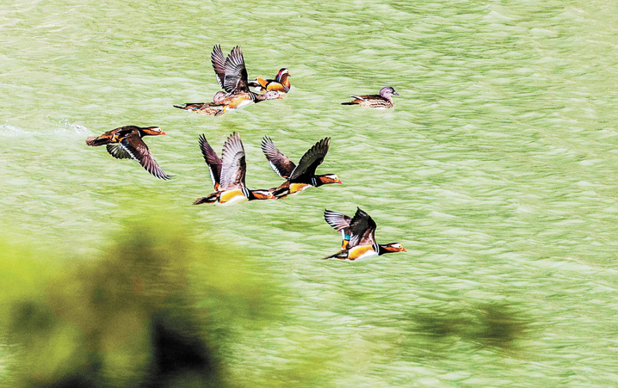 圖片默認標題_fororder_1c1b0d134e881f23256508