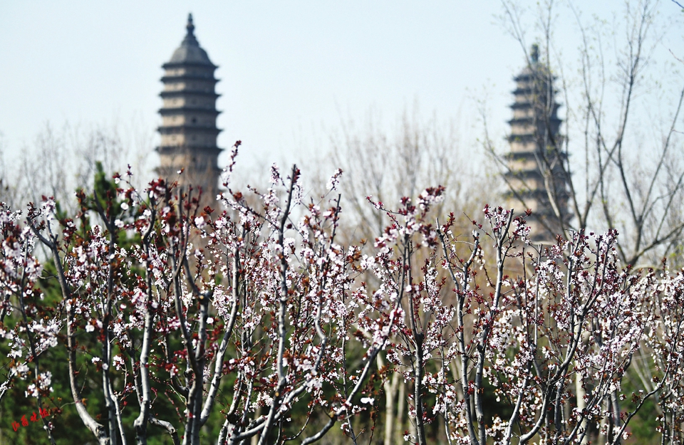 太原：春有约 花不误_fororder_88