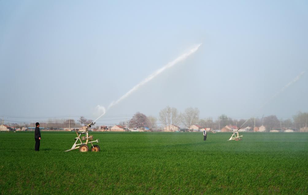山東濰坊：小麥春季灌溉忙