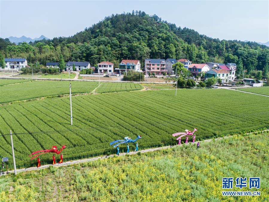 杭州：春季民俗展演助力乡村旅游