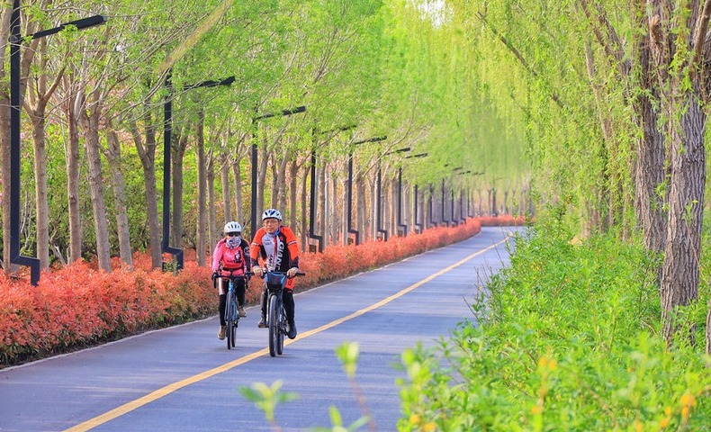 河南開封：騎行賞景 享受春光