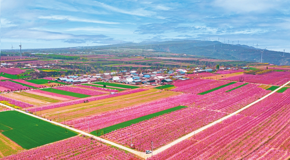 山西运城平陆：春日田园景如画_fororder_3542bab65d66d87cfb1082a88b77ac55