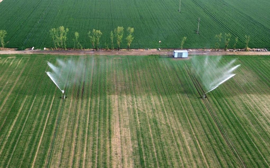 山東濰坊：小麥春季灌溉忙