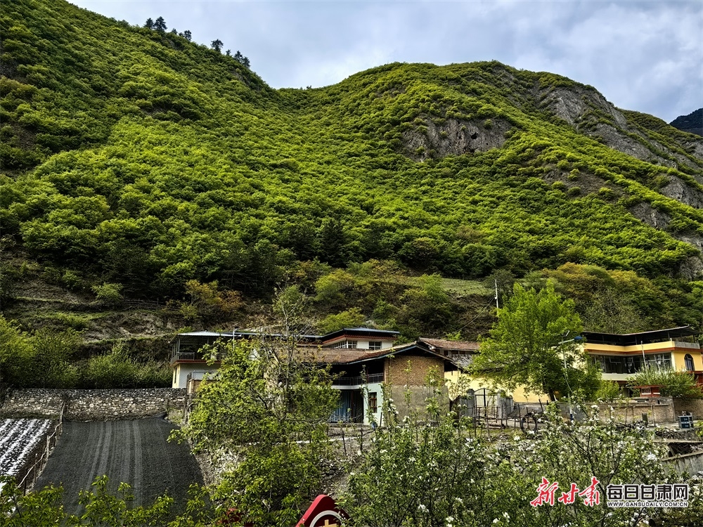 【文旅】甘肃舟曲：青山逶迤染翠色 云雾缭绕似桃源_fororder_6