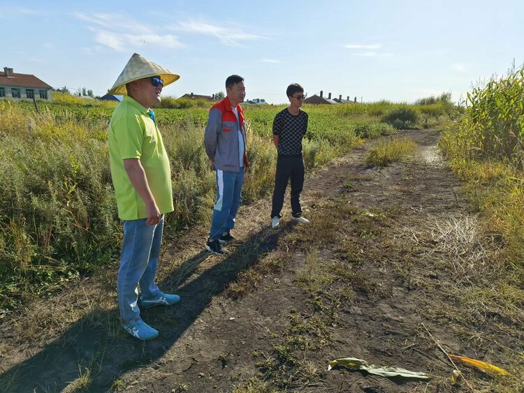 党建引领备战春耕│“能人”陈继良服务春耕劲头足_fororder_916fe420882896813b85112a39b5e4b