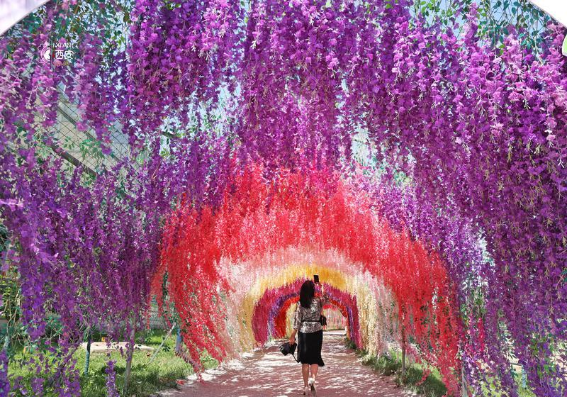 生态美域 泾河新城