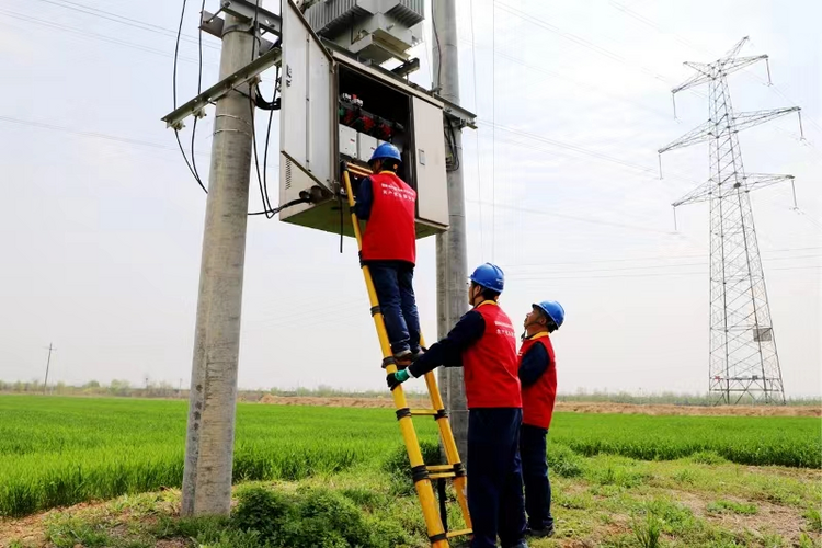 國網渭南供電公司：萬象“耕”新電力足  聚“椒”助農産業興_fororder_圖片17