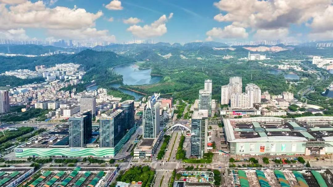 2024大湾区服务企业区域榜揭晓 深圳龙岗区平湖街道荣获“五星街道”_fororder_平湖3