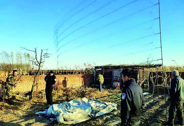 黑龍江省野保志願者配合林業、公安 拆網清籠放飛被困候鳥