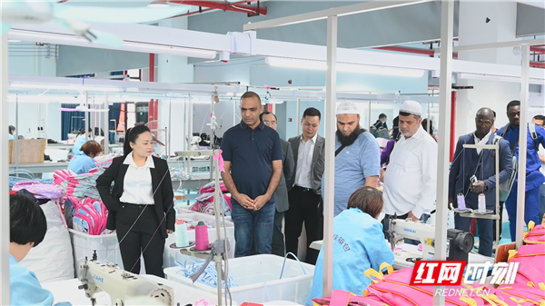 湖南麻陽：“箱”飄海外 擴大開放促發展