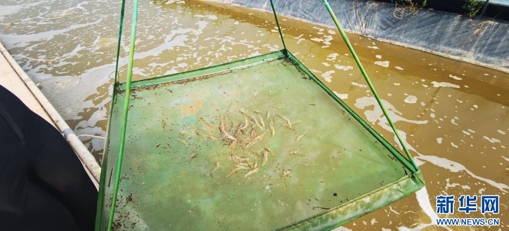 从网络热词看山西运城产业发展的“三张牌”_fororder_2024051440640cf5c12d48edb173c67214286863_202405135af2294fd2844f2e96c54863f4197fcc