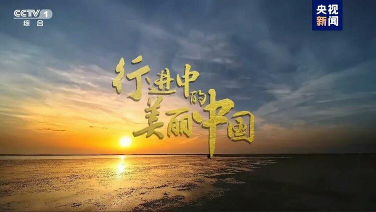 谱写绿色生态篇章，大型生态文明纪录片《行进中的美丽中国》开播