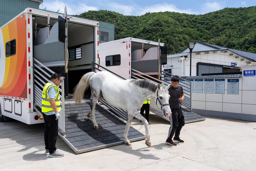 Second International Equestrian Open Will Kick off in June in Hangzhou Tonglu with Racehorses Touching down in Tonglu_fororder_圖片3