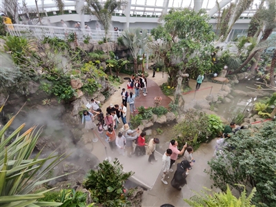 在成都也能打卡"热带雨林" 世园会植物馆里藏"神奇植物"