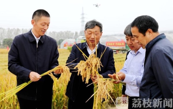（焦點圖）江蘇創“超級水稻”畝産新紀錄