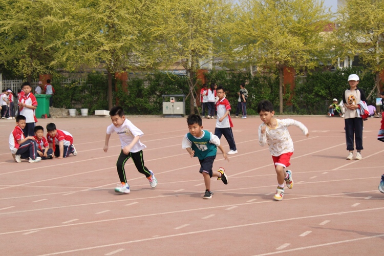 河北定興:不負好春光 運動展風采_fororder_009