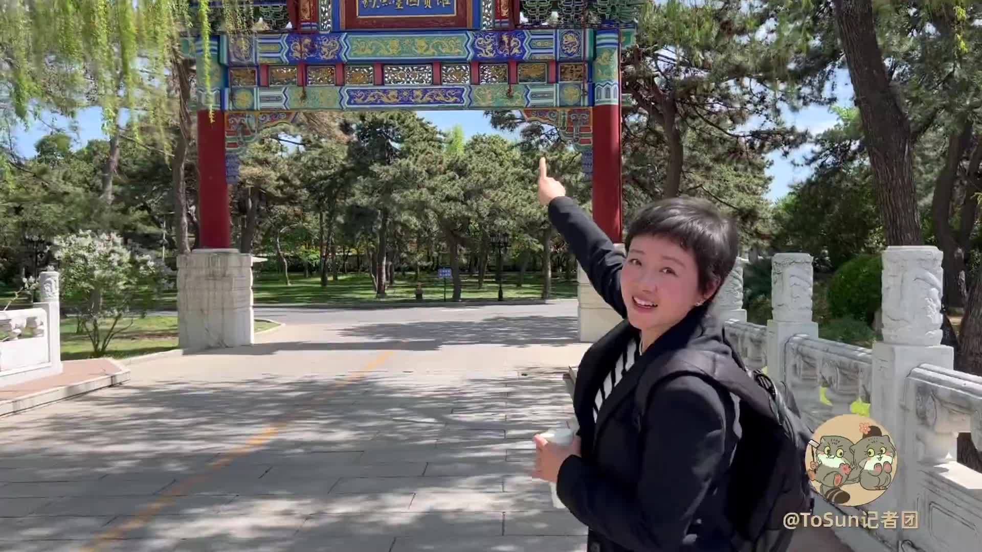 时政vlog丨相聚在春天的钓鱼台-国际在线