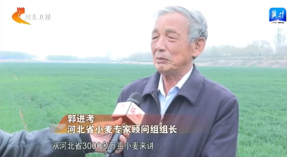 河北：拧紧农业用水“水龙头” 小麦丰产又节水