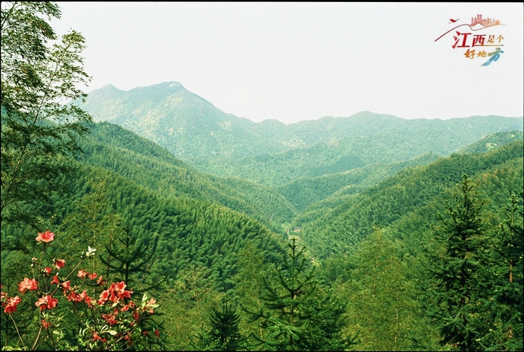 【江西是個好地方】江西把小竹子做成大産業_fororder_微信圖片_20240517105142